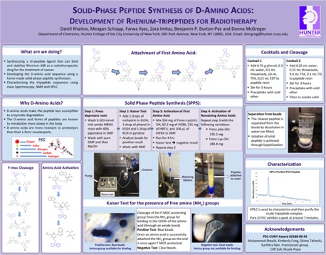 Solid Phase Peptide Synthesis of D-Amino Acids 
2015